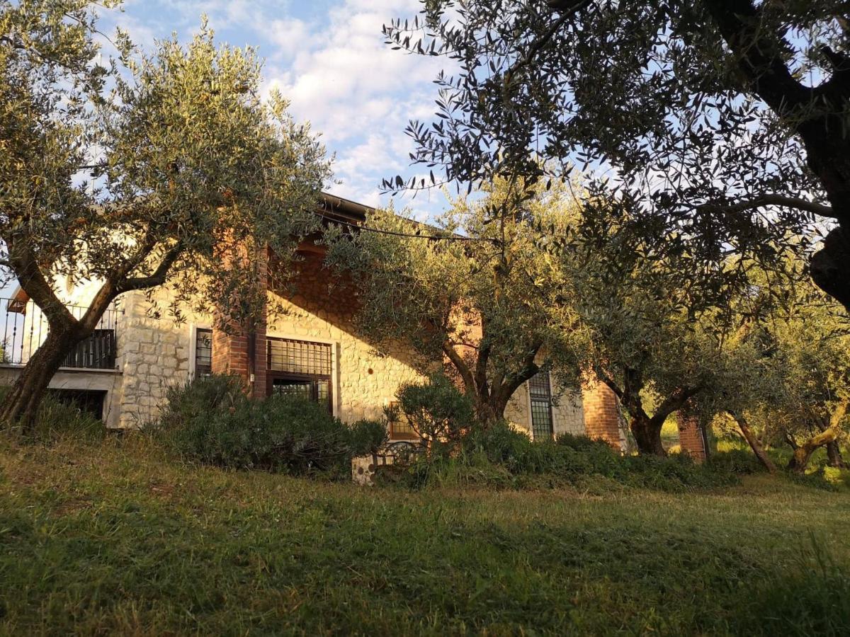 Agriturismo Bosco Magico Verona Exterior foto