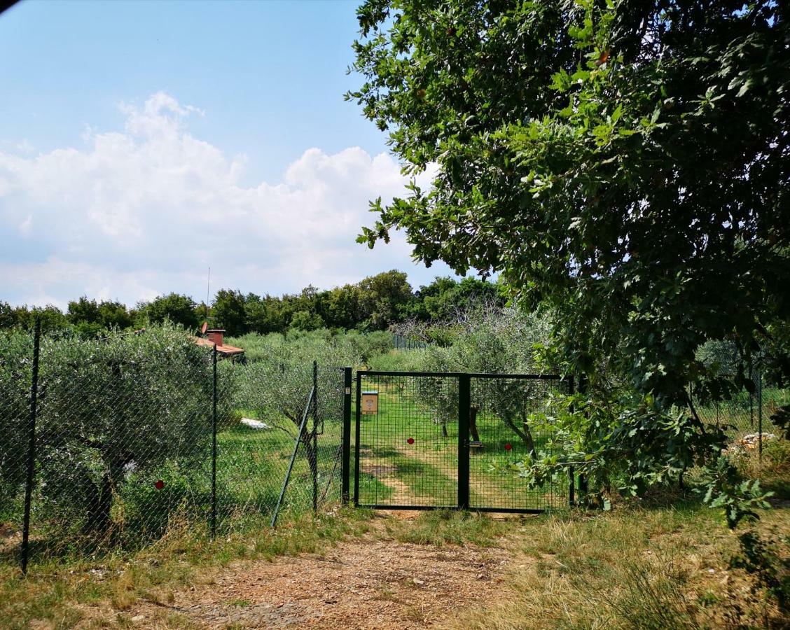 Agriturismo Bosco Magico Verona Exterior foto